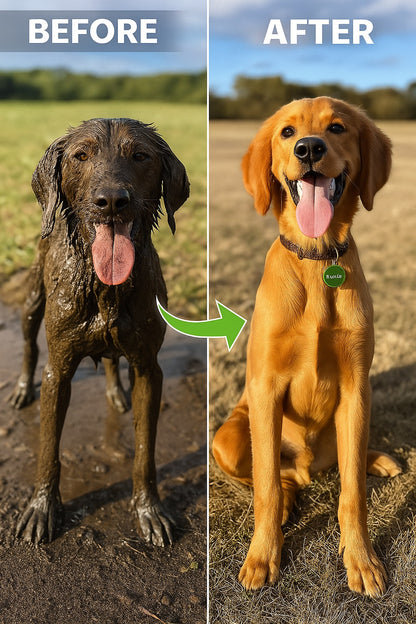 PetJet™ 3-Mode Dog Shower Sprayer